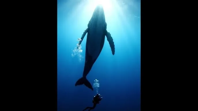 星界裂缝 - 深蓝星球：探索海洋深处的未知世界